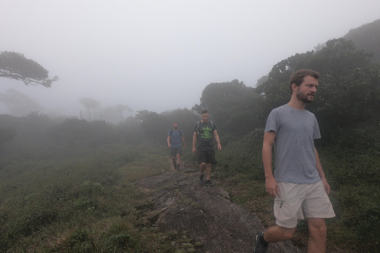 Kandy: Waterfalls and Local Village Day Tour with Lunch