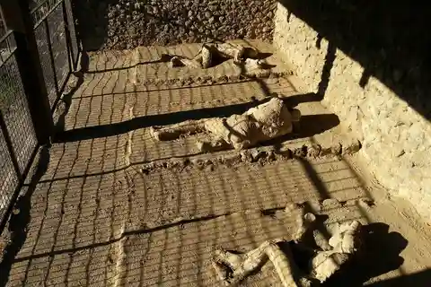 Pompeya y el Vesubio