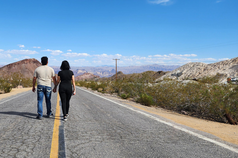 Las Vegas : Visite d&#039;une jounée en quad/RZR dans le cadre de l&#039;aventure du vieil OuestExcursion en VTT monoplace