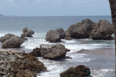 Barbados: Private Island Tour with Snacks and Water