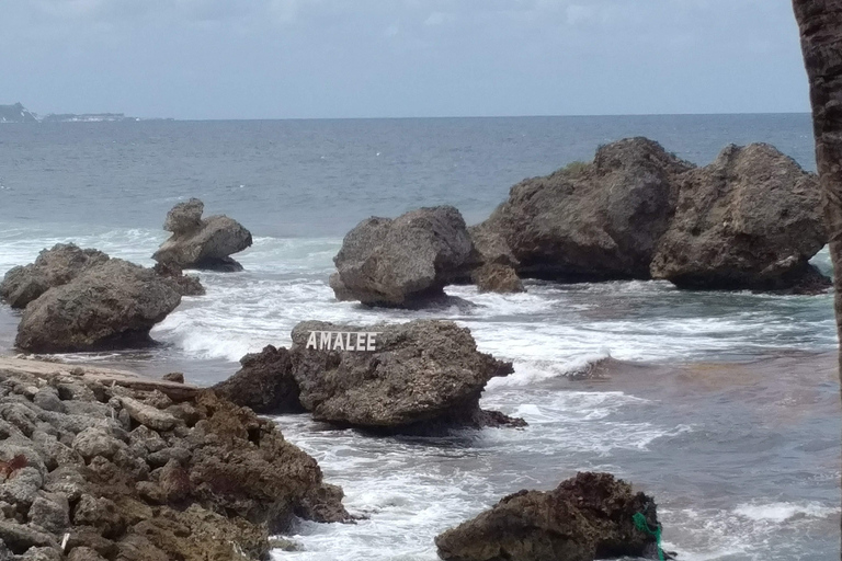Barbados: Private Island Tour with Snacks and Water