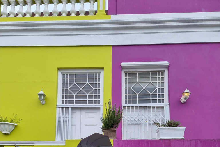 Luxury Cape of Good Hope & Penguin Tour