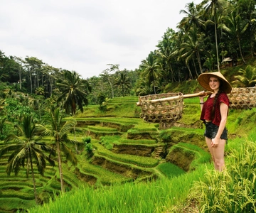 Ubud: Best of Ubud Full-Day Tour with Entry Tickets