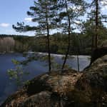 Da Helsinki: Escursione di mezza giornata al Parco Nazionale di Nuuksio