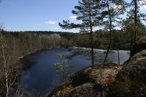 Depuis Helsinki : demi-journée au parc national de Nuuksio