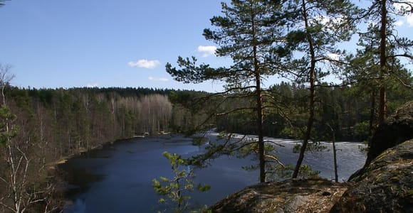 Von Helsinki aus: Halbtagestour in den Nuuksio-Nationalpark