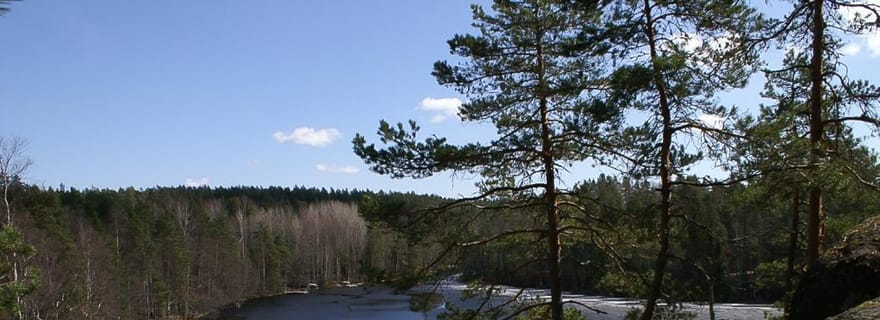 De Helsinque: Excursão de Meio Dia ao Parque Nacional Nuuksio