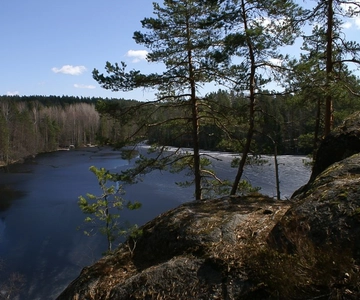 From Helsinki: Nuuksio National Park Half-Day Trip