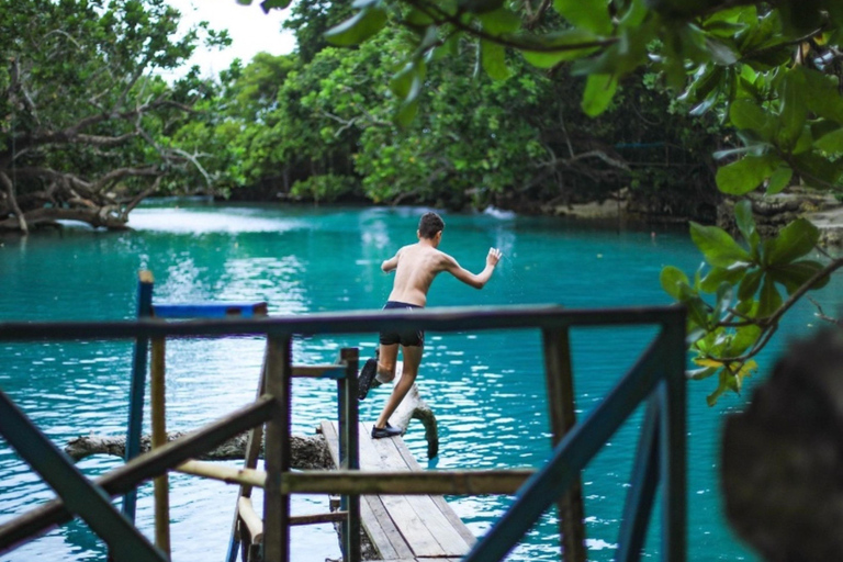 Port Vila: Blue Lagoon, Eden on the River & Turtle Tour