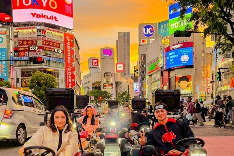 Tokyo Hidden Gems Sumo, Calligraphy & Local Streets Day Tour