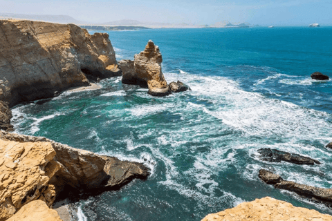 Bus Lima to Paracas (from: Miraflores)