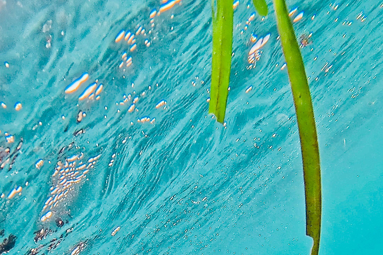 DAR ES SALAAM:BONGOYO ISLAND SNORKELING TOUR & BEACH ESCAPE