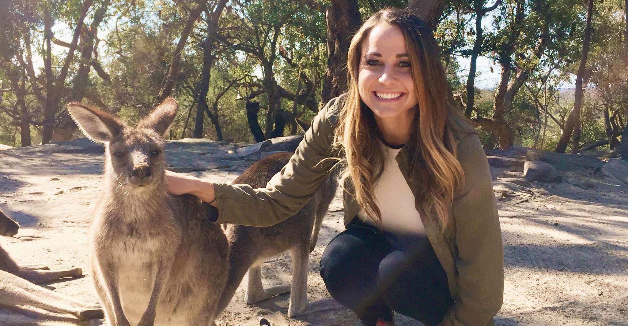 De Haymarket, Hunter Valley Voyage d'une journée sur le vin et la faune - Hizvo