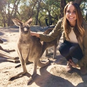 From Haymarket: Hunter Valley Wine and Wildlife Day Trip