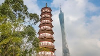 Tour da giorno di Guangzhou con guida locale - Housity