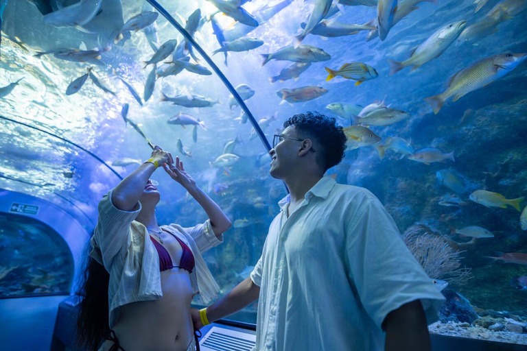Santa Marta: Catamaran Bays Tour (optional Marine Center) Santa Marta: Catamaran Bays Tour