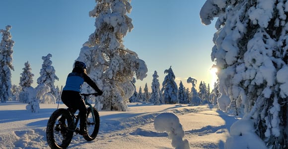 Saariselkä: Guided Fatbike Tour