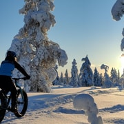 Saariselkä: Guided Fatbike Tour