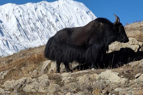 Kathmandu: 18-Day Island Peak Climb & Everest Base Camp