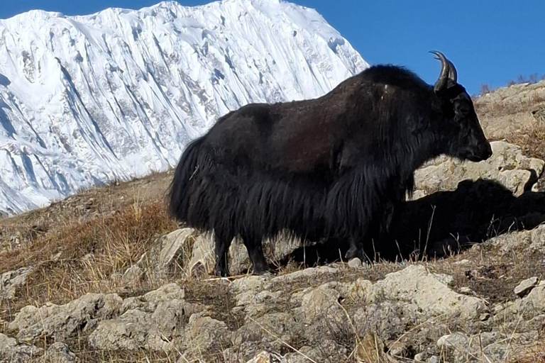 Kathmandu: 18-Day Island Peak Climb & Everest Base Camp