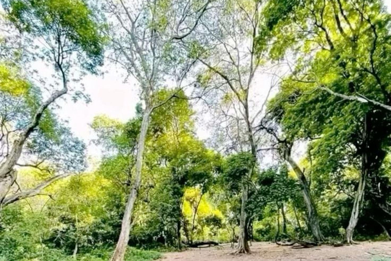 Arba Minch: Dorze Village &amp; Lake Chamo Boot &amp; Tuk Tuk Tour