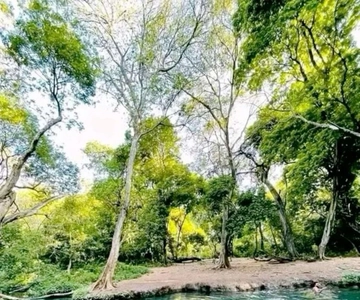 Arba Minch: Dorze Village & Lake Chamo Boat & Tuk Tuk Tour