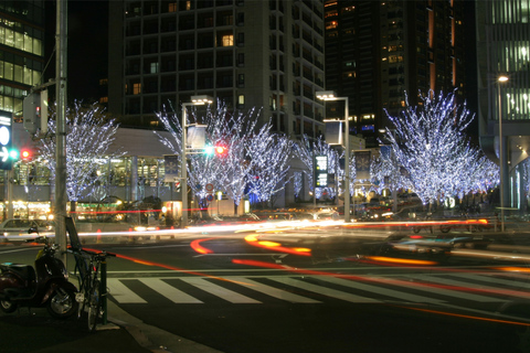 Tokyo Full Day Private Sightseeing Tour with English Driver