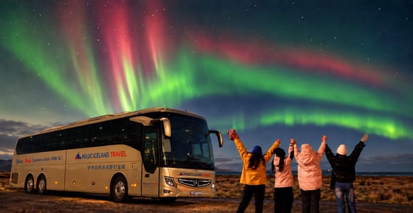 Reykjavik: Northern Lights Coach Tour with Local Hunters