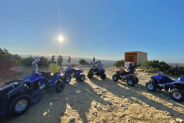 Quad Discovery Tour in Hammamet