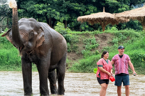 Chiang Mai Adventure: Rafting, ATV & Elephants Experience. Bamboo rafting (4km.) & 1 hrs. ATV.