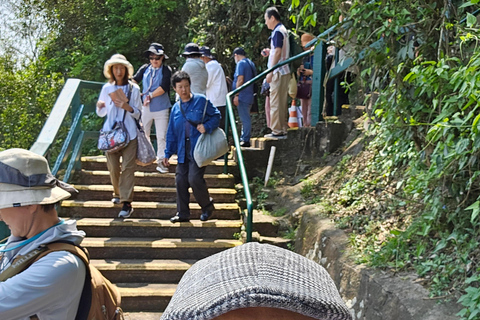 Iguassu Falls: Waterfalls trail + boat trip (optional)