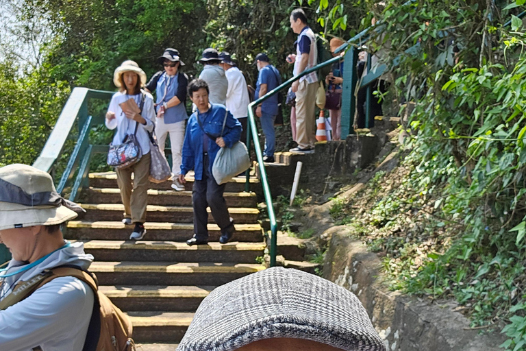 Iguazu-Wasserfälle: Wasserfallweg + Bootsfahrt (optional)