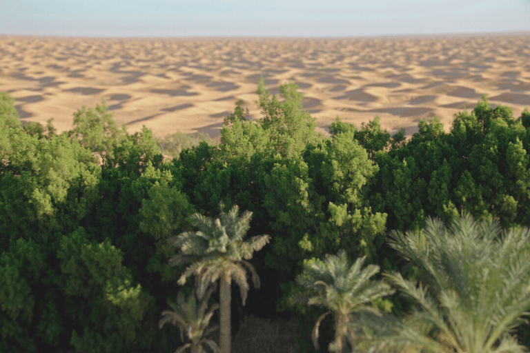 Day-trip to Tunisia&#039;s desert: Ksar Ghilan &amp; Star Wars sites