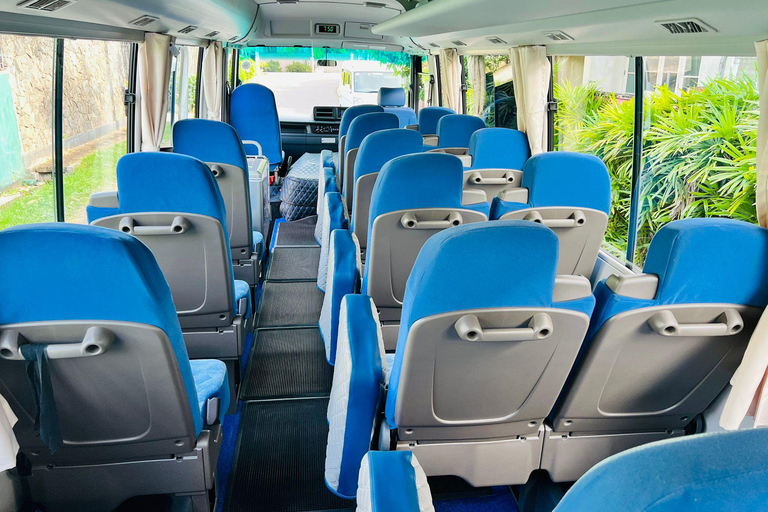 Galle: Private Colombo/Airport Transfer with Turtle Stop