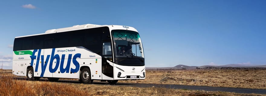 Aeroporto de Keflavík: Traslado de Ônibus para/de Reykjavík