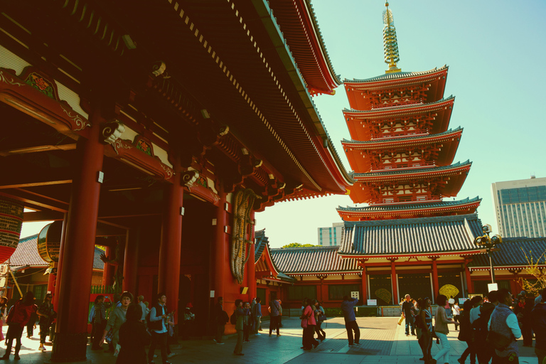 Visita Privada a Asakusa y Mucho Más en Tokio