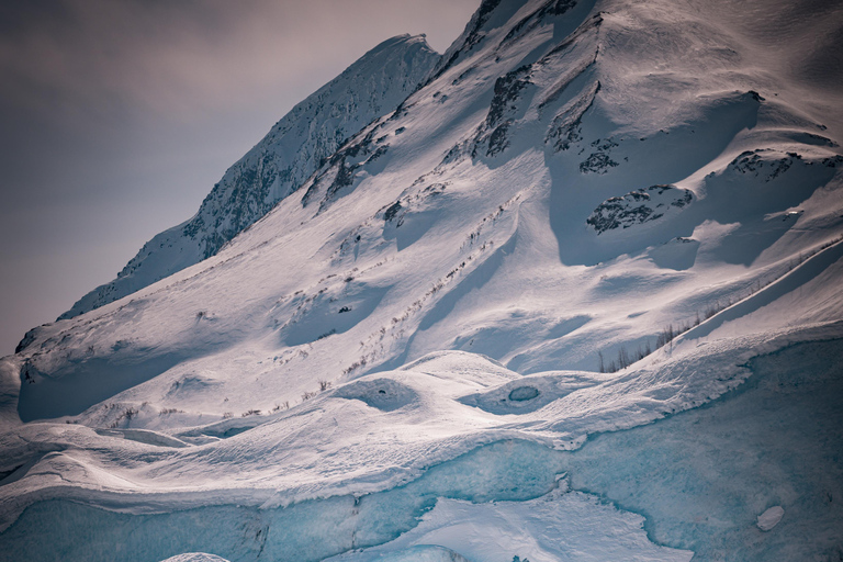 Valdez: Columbia Glacier Helicopter Adventure with Landing