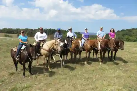 Agadir: Guided Horse Riding Along Flamingo River with Tea