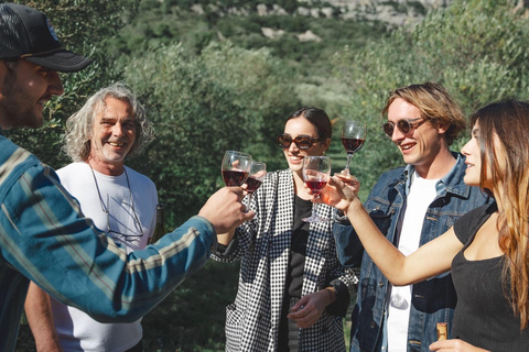 Béziers : Visite e degustazioni di vino