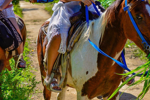 Punta Cana: Horseback Riding Tour. Connect with nature at a gallop. Punta Cana: Horseback Tour. Connect with nature at a gallop.