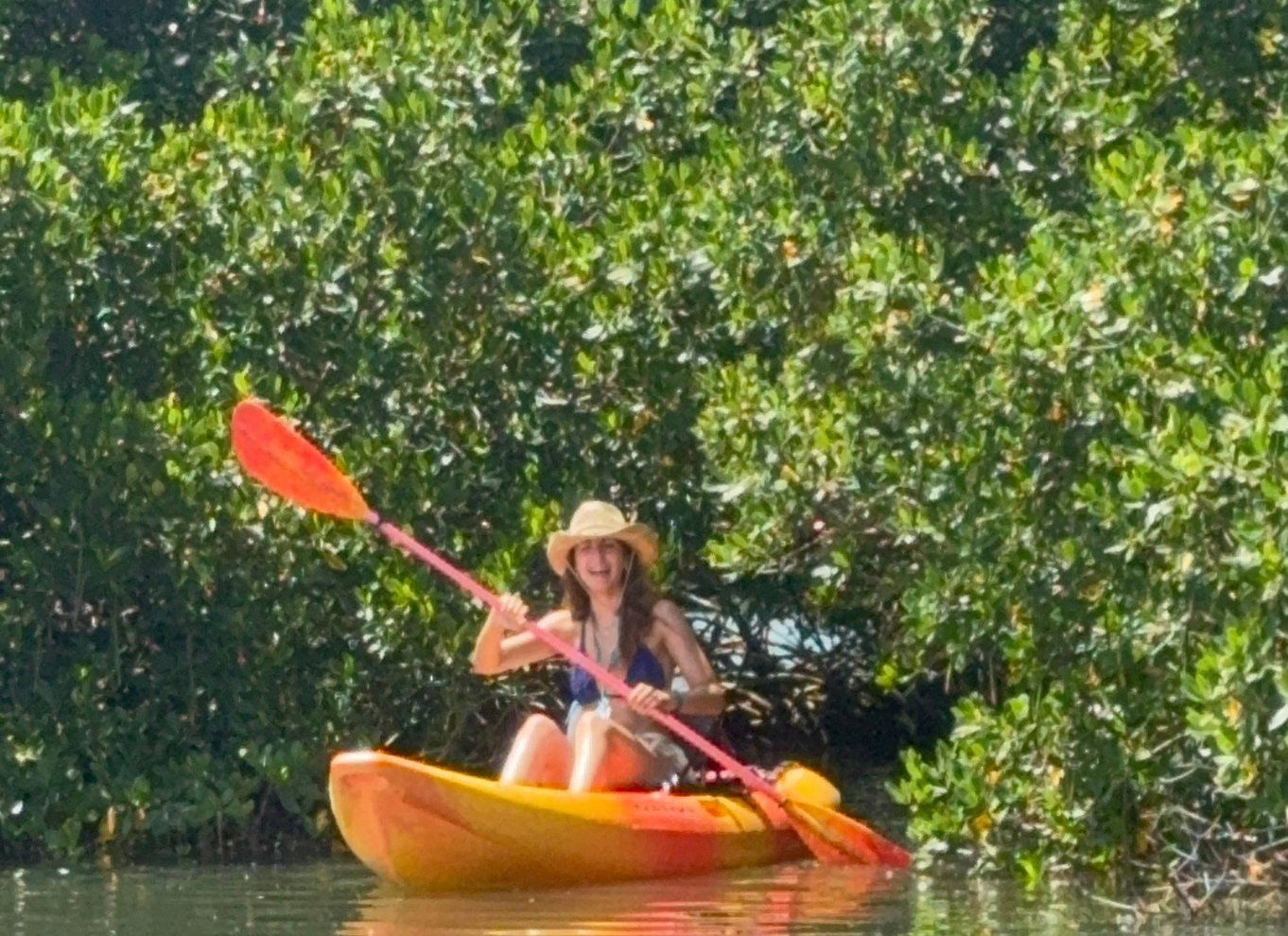 Tierra Verde: Shell Key Mangrove Privat guidet tur på 1,5 time