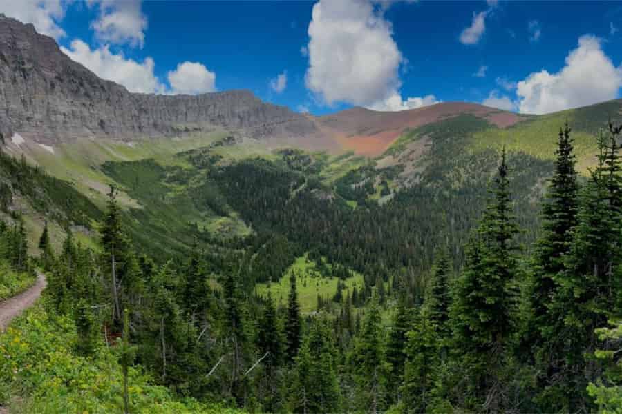 Waterton: Highlights des Red Rock Parkway per Van. Foto: GetYourGuide