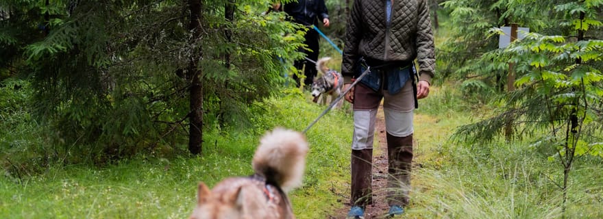 Au départ de Tallinn : visite du parc Husky avec randonnée Cani-Cross
