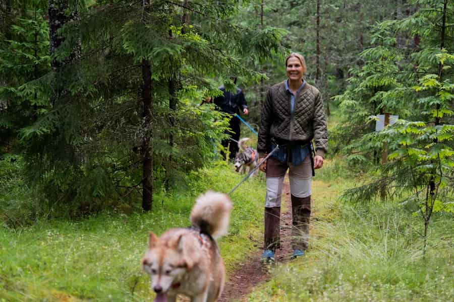 Ab Tallinn: Husky Park Tour mit Cani-Cross-Wanderung. Foto: GetYourGuide Ab Tallinn: Husky Park Tour mit Cani-Cross-Wanderung. Foto: GetYourGuide