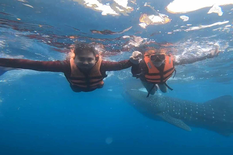 CEBU: Osservazione degli squali balena + Sumilon Sand Bar + Cascate di Tumalog