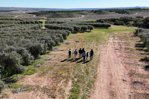 Toledo: Olive Oil Mill Tour & Tasting 4 EVOO Casas de Hualdo