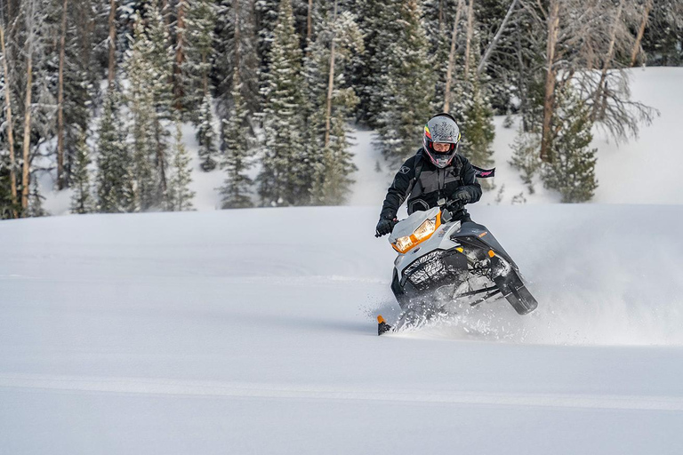 Jackson Hole: Turpin Meadow Snowmobile Tour Half-Day Morning Tour- Driver Only