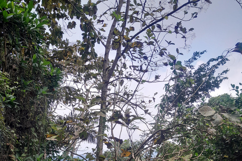 Yogyakarta: Volcano Trek, Cave Tubing & Temple Sunset Yogyakarta: Ancient Volcano Trek, Cave Tubing &Temple Sunset