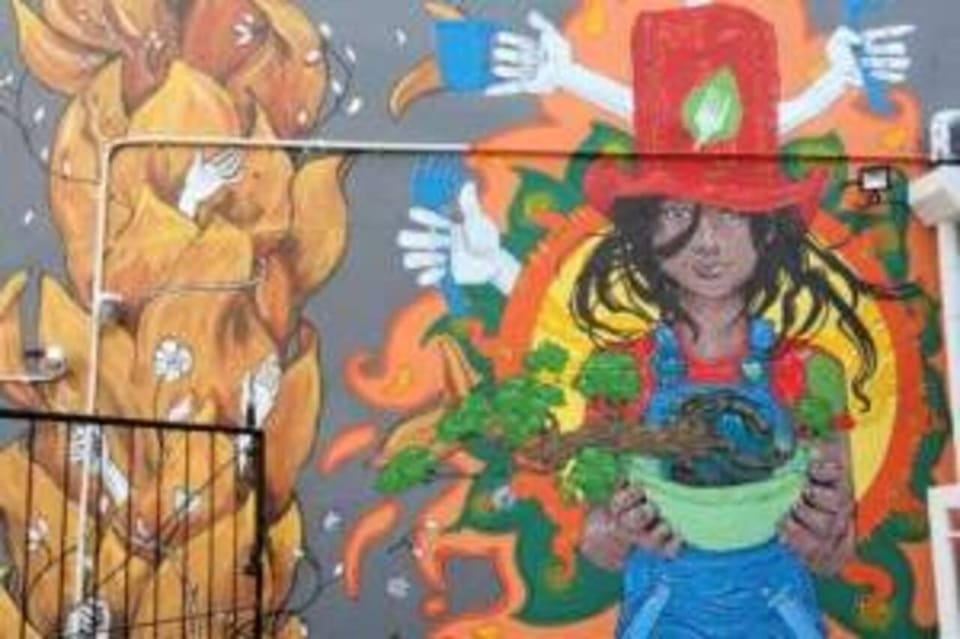 Recorrido A Pie Por El Arte Callejero De Ciudad Del Cabo GetYourGuide