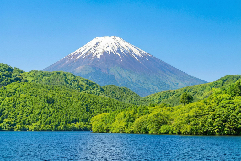 Mt. Fuji & Hakone Tour: Arakurayama, OshinoHakkai, Owakudani Tokyo Station | 7:30 AM Departure with English Guide